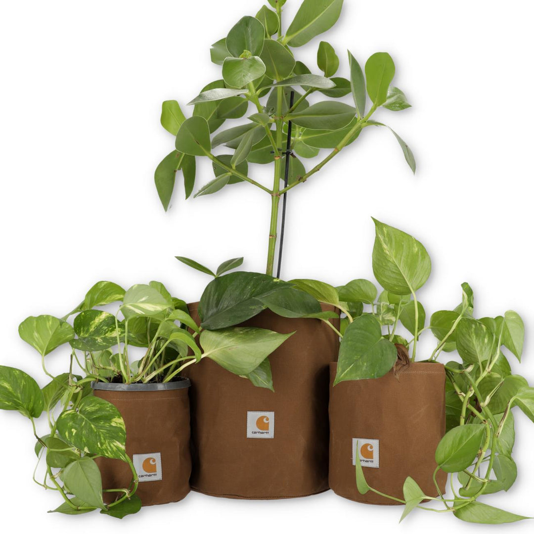 Canvas Planter Set