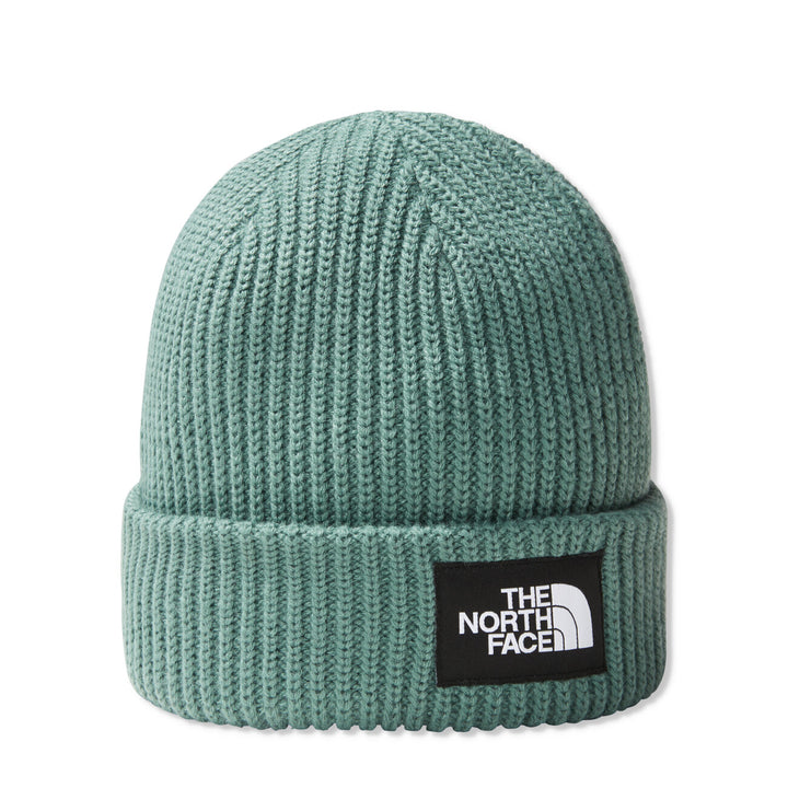 Salty Lined Beanie